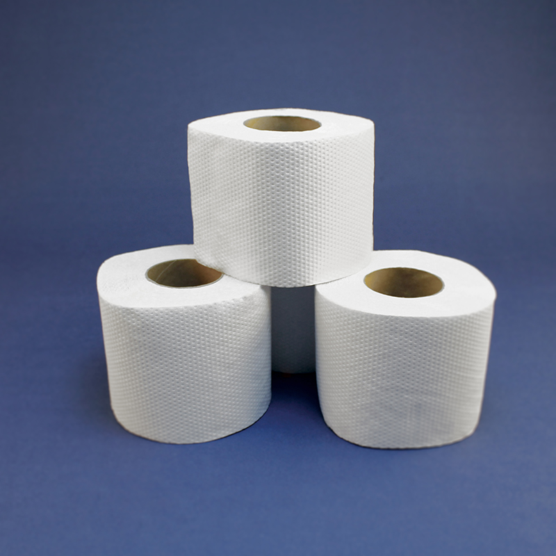 Rollo Papel Higiénico 48 unidades